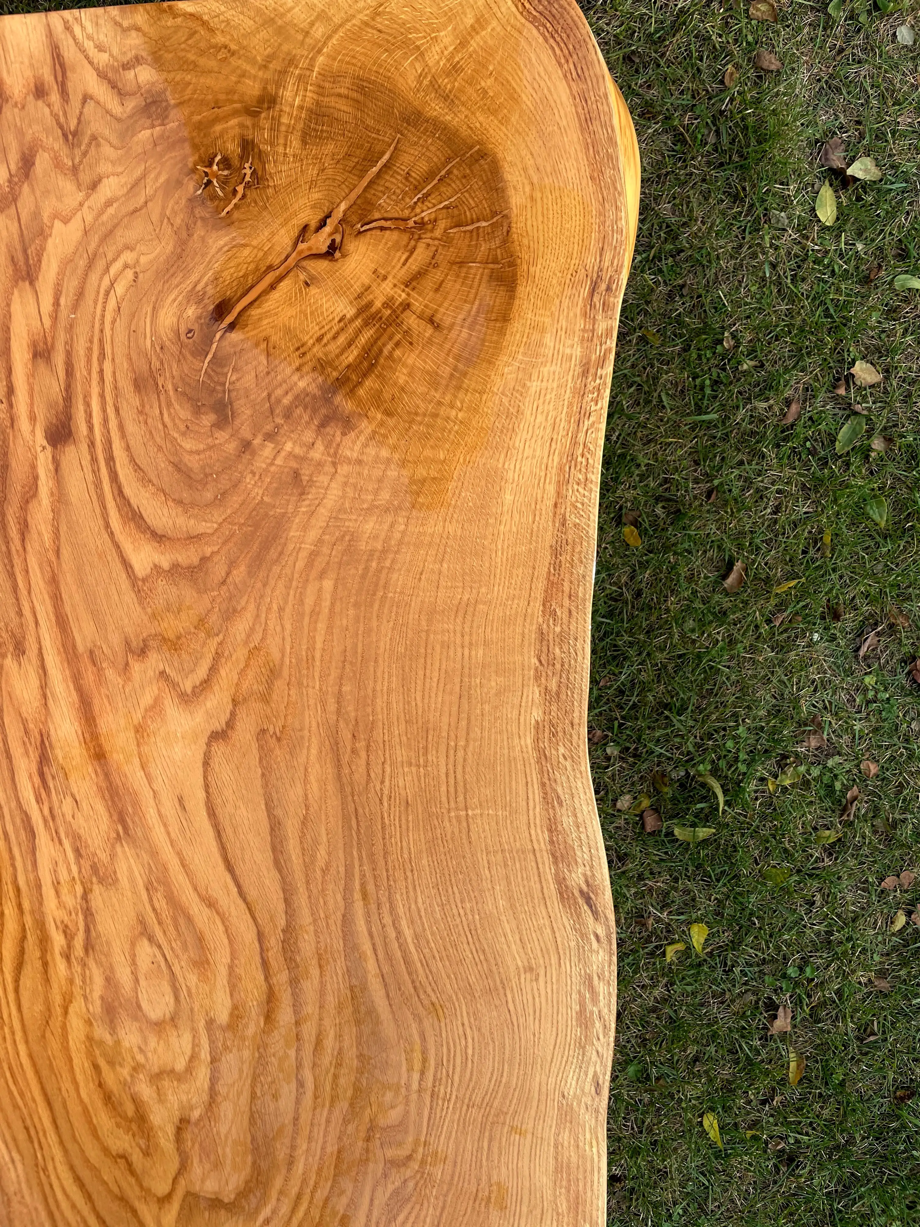 usłojenie plastra dębowego