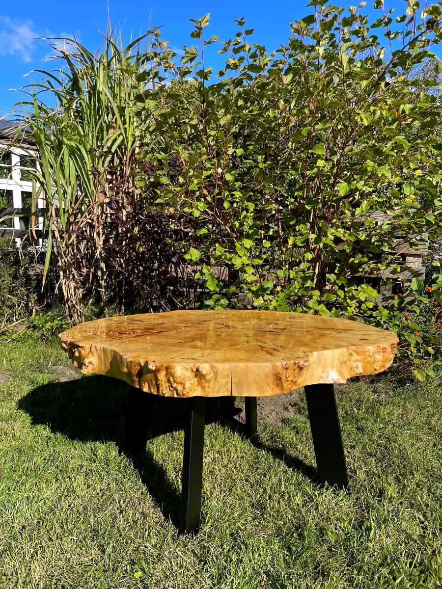 Stolik kawowy "Czeczotka"