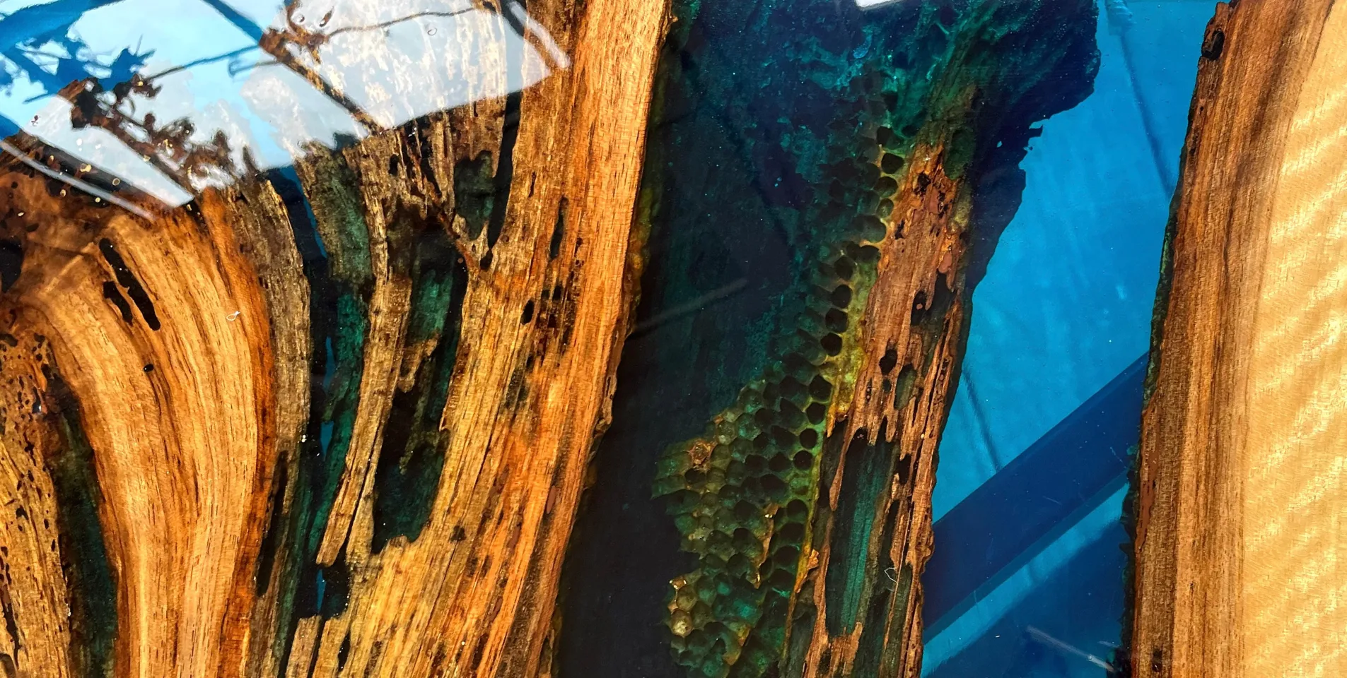 przybliżenie na stół jadalniany z orzecha włoskiego w połączeniu z niebieską żywicą