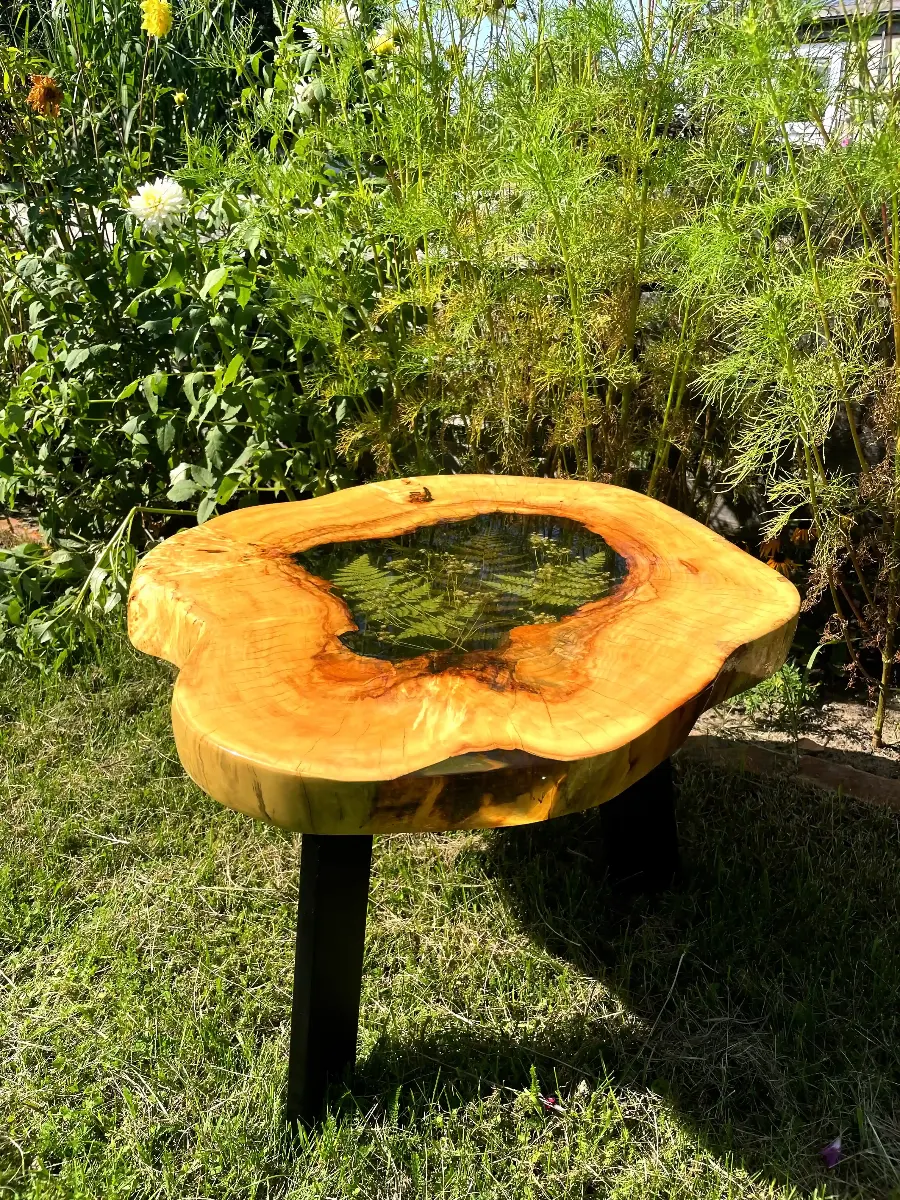 stolik kawowy z kasztana z żywicą i zatopioną paprotką i gipsówką