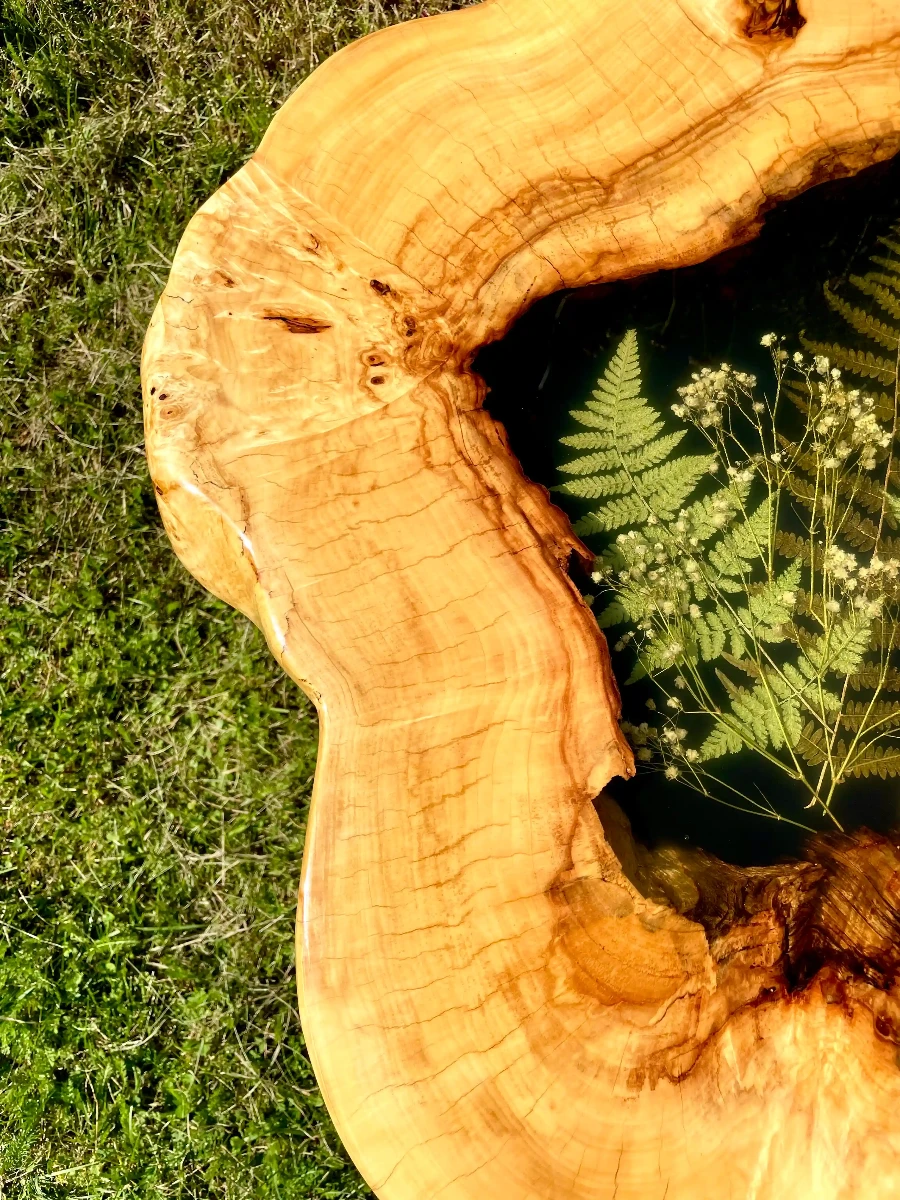 stolik kawowy z kasztanowca z żywicą i zatopioną paprotką i gipsówką