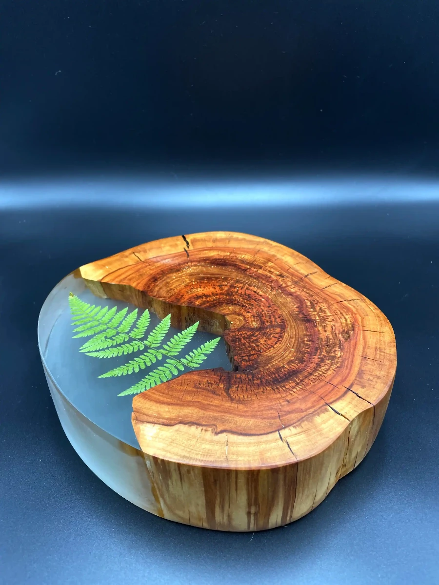 stolik kawowy z drewna jabłoni z transparentna żywicą epoksydową i paprotką