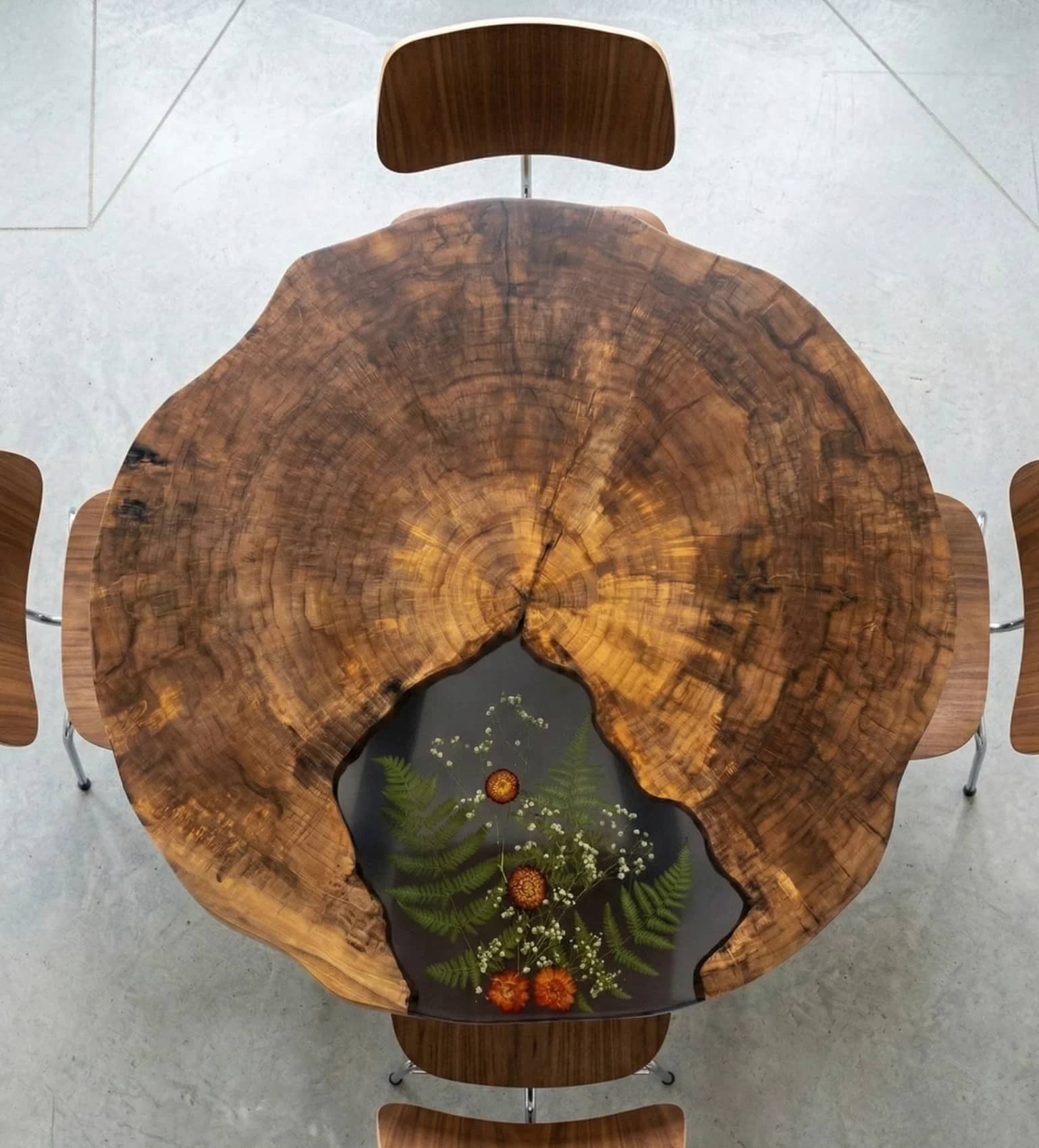 stół jadalniany z plastra topoli z roślinami zatopionymi w żywicy epoksydowej zabezpieczony olejem naturalnym na metalowych nogach