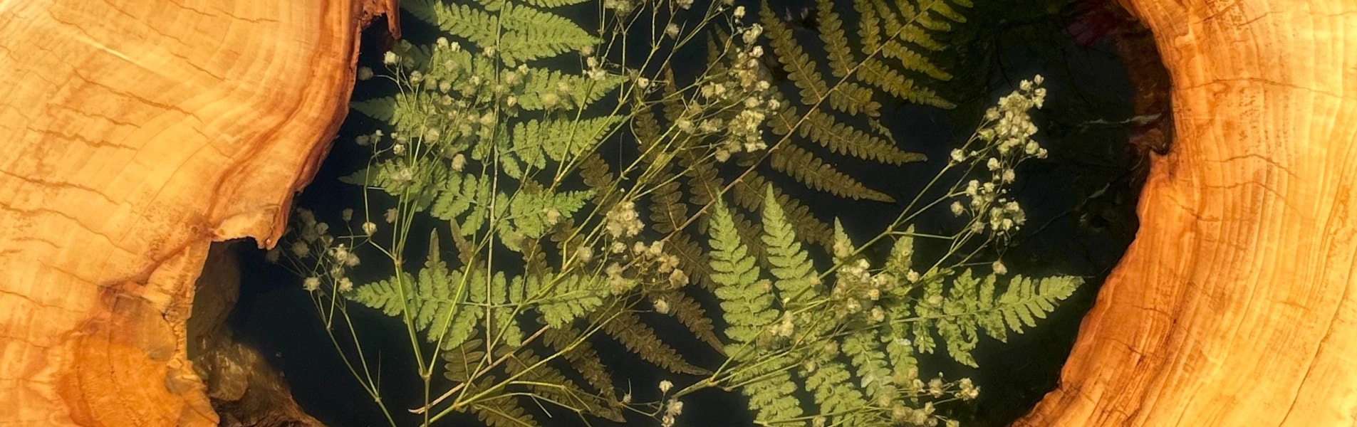 stolik kawowy z drewna kasztanowca z żywicą i zatopioną paprotką i gipsówką