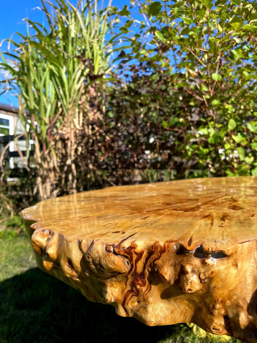 stolik z plastra topoli z czeczotą z przybliżeniem na naturalną krawędź plastra