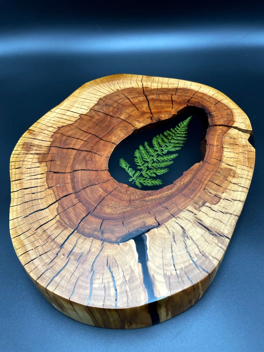 stolik kawowy wykonany z plastra jabłoni z paprocią