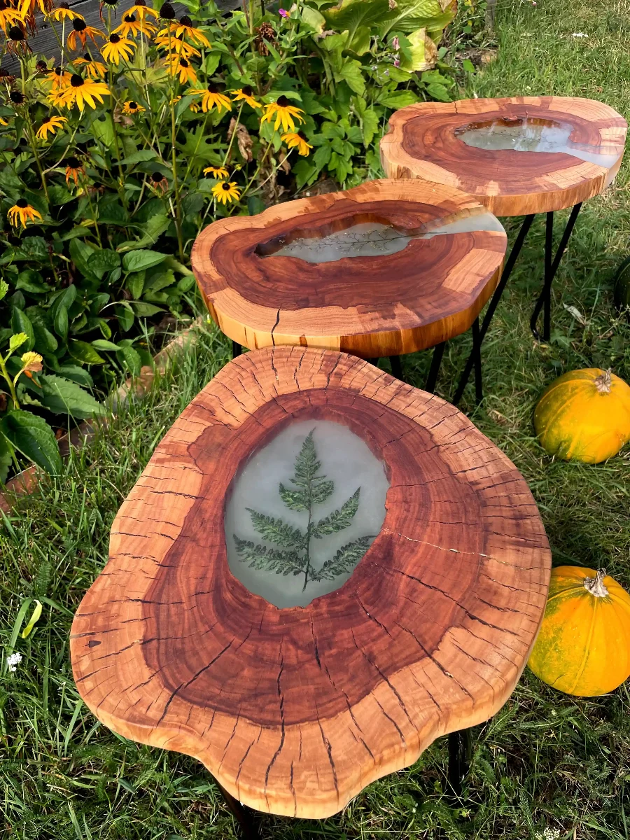 trzy stoliki kawowe z jabłonki z żywicą i paprotką