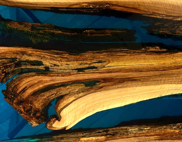 orzech włoski w połączeniu z niebieską żywicą epoksydową z zatopionym ulem